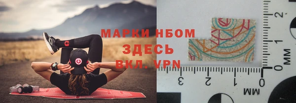 сатива Алзамай