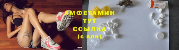 сатива Алзамай