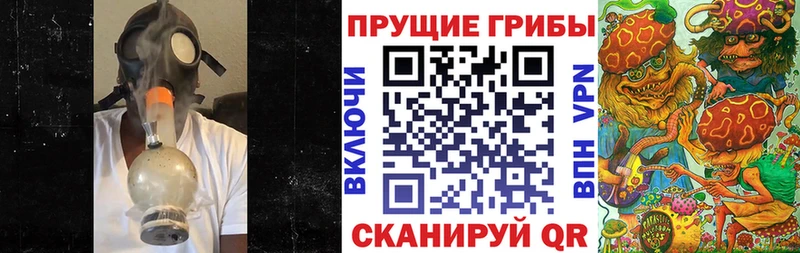 Псилоцибиновые грибы Cubensis Шацк